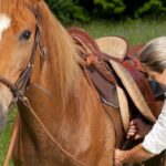 Hasta qué edad es seguro montar a caballo: límites y precauciones.