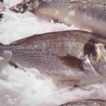 La verdad sobre descongelar y volver a congelar pescado: ¿es seguro?